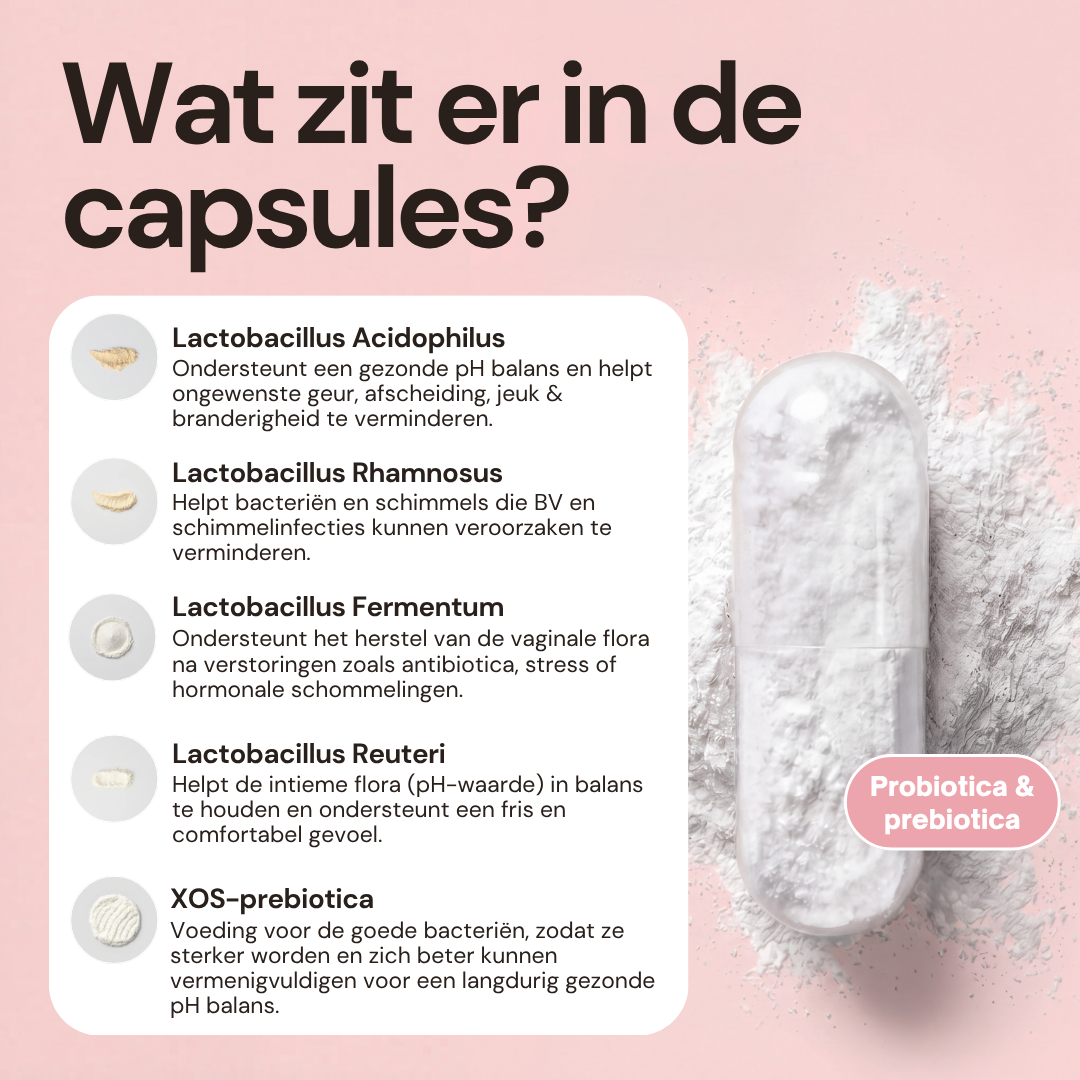 Vaginale Probiotica Blend